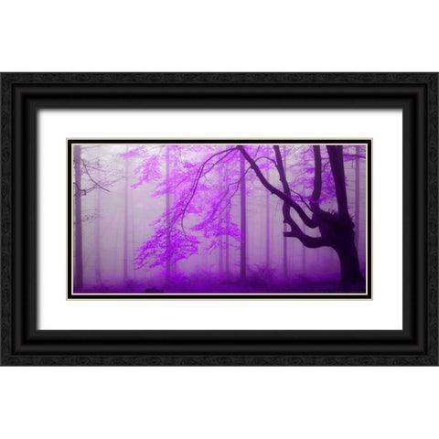 Lilac forest 808 Black Ornate Wood Framed Art Print with Double Matting by Palacios, J.A.