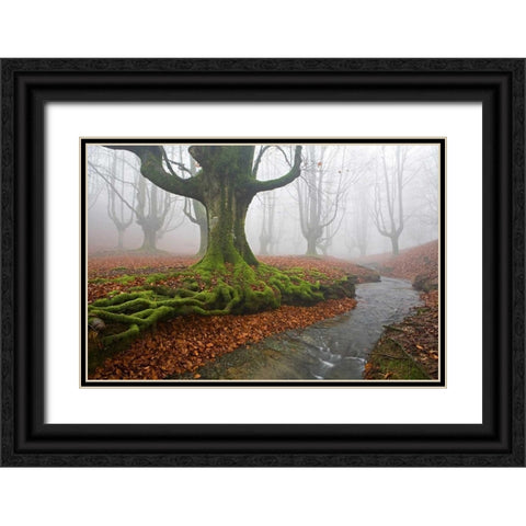 Forest 817 Black Ornate Wood Framed Art Print with Double Matting by Palacios, J.A.