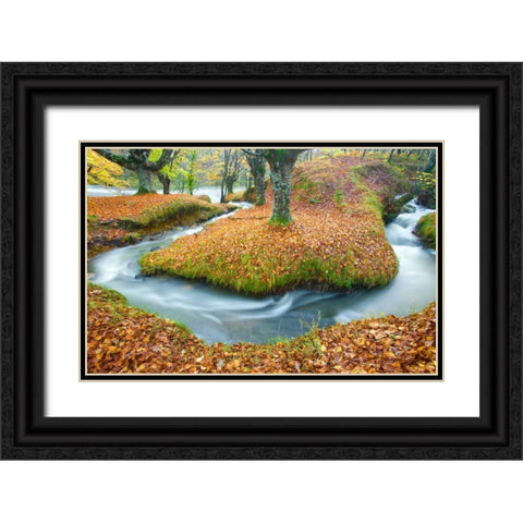 Forest and river 846 Black Ornate Wood Framed Art Print with Double Matting by Palacios, J.A.