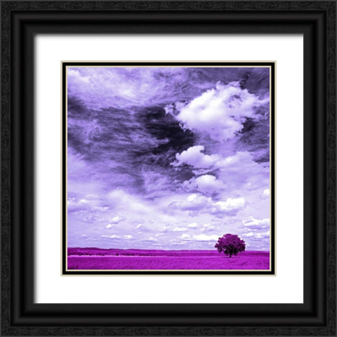 Lilac field 840 Black Ornate Wood Framed Art Print with Double Matting by Palacios, J.A.