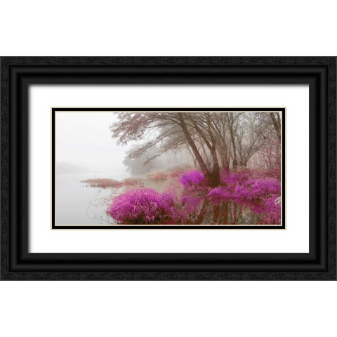 Foggy swamp 838 Black Ornate Wood Framed Art Print with Double Matting by Palacios, J.A.
