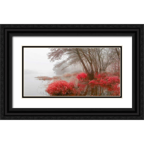 Foggy swamp 837 Black Ornate Wood Framed Art Print with Double Matting by Palacios, J.A.