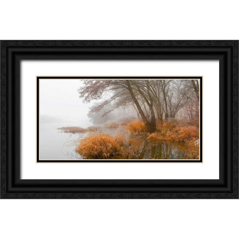 Foggy swamp 836 Black Ornate Wood Framed Art Print with Double Matting by Palacios, J.A.