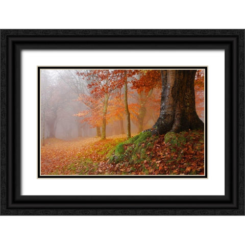 Millennial tree 823 Black Ornate Wood Framed Art Print with Double Matting by Palacios, J.A.