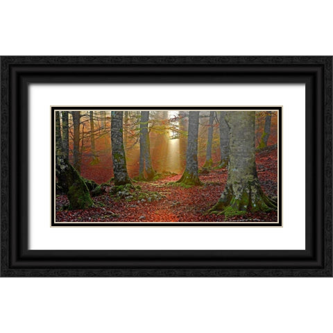 Forest and sunbeam 820 Black Ornate Wood Framed Art Print with Double Matting by Palacios, J.A.