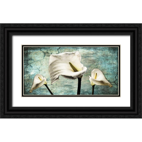 Callas I Black Ornate Wood Framed Art Print with Double Matting by Willow, Susan P.