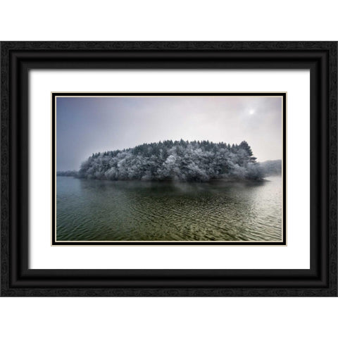 Winter in the swamp Black Ornate Wood Framed Art Print with Double Matting by Vera, Urtzi