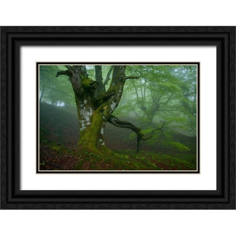 Spring Black Ornate Wood Framed Art Print with Double Matting by Vera, Urtzi