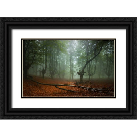 Spring II Black Ornate Wood Framed Art Print with Double Matting by Vera, Urtzi