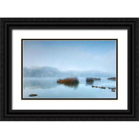 Blue dreams Black Ornate Wood Framed Art Print with Double Matting by Vera, Urtzi