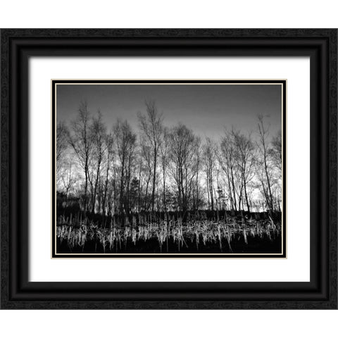 Watery Reflection Black Ornate Wood Framed Art Print with Double Matting by Henson, Martin