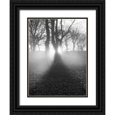 Morning Light Black Ornate Wood Framed Art Print with Double Matting by Henson, Martin