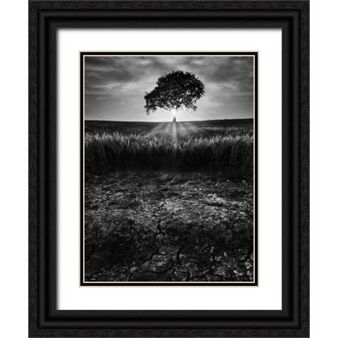 Cracked Earth Black Ornate Wood Framed Art Print with Double Matting by Henson, Martin