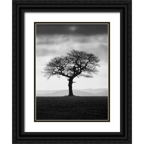 Without Leaves Black Ornate Wood Framed Art Print with Double Matting by Henson, Martin
