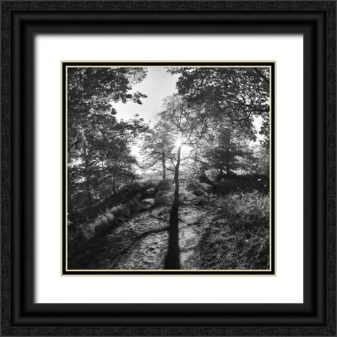 Woodland Tones I Black Ornate Wood Framed Art Print with Double Matting by Henson, Martin