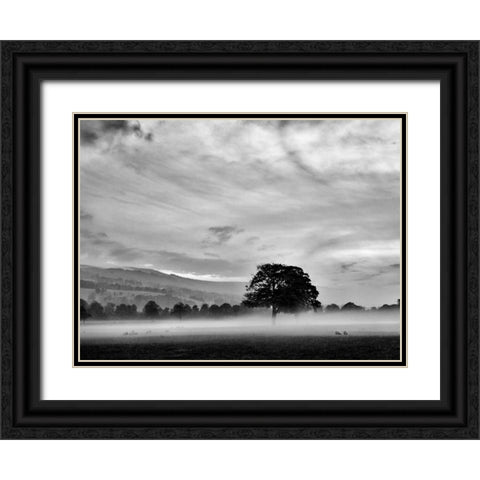 Misty Weather IV Black Ornate Wood Framed Art Print with Double Matting by Henson, Martin