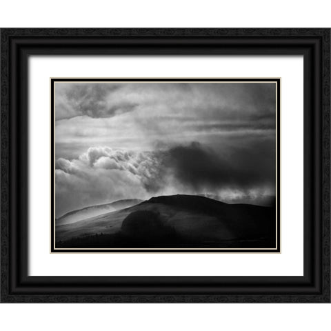 Misty Weather VIII Black Ornate Wood Framed Art Print with Double Matting by Henson, Martin
