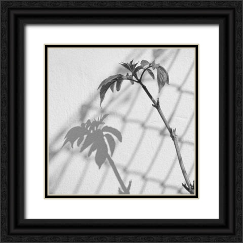 Around Town III Black Ornate Wood Framed Art Print with Double Matting by Henson, Martin