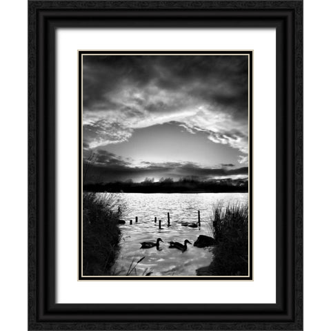 Swimming Pool Black Ornate Wood Framed Art Print with Double Matting by Henson, Martin