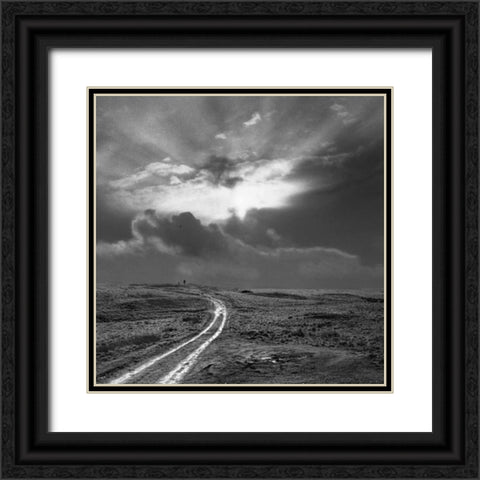 Fly a Kite Black Ornate Wood Framed Art Print with Double Matting by Henson, Martin