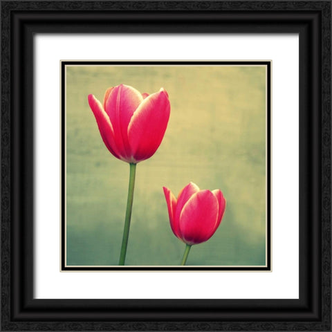 Tulip in Fuchsia II Black Ornate Wood Framed Art Print with Double Matting by Bell, Lillian