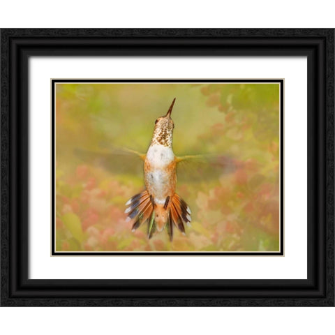 The Flower Dance IV Black Ornate Wood Framed Art Print with Double Matting by Robertson, Leda