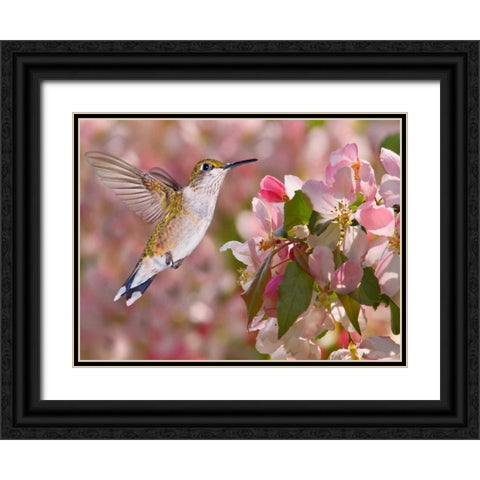 The Flower Dance V Black Ornate Wood Framed Art Print with Double Matting by Robertson, Leda