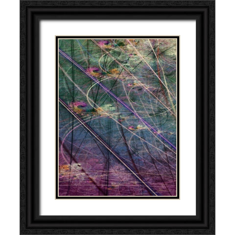 Wetlands Vector I Black Ornate Wood Framed Art Print with Double Matting by Burghardt, James