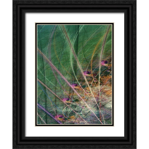 Wetland Vector II Black Ornate Wood Framed Art Print with Double Matting by Burghardt, James