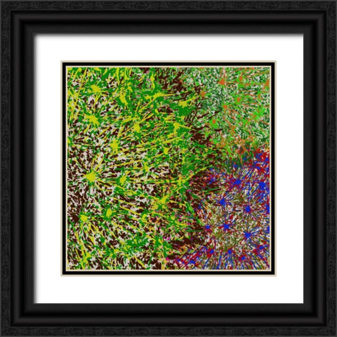 Profusion II Black Ornate Wood Framed Art Print with Double Matting by Burghardt, James