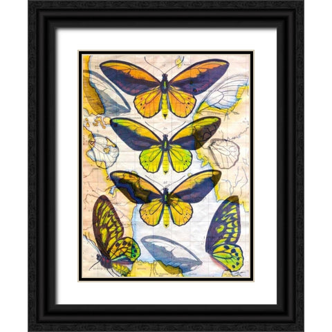 Butterfly Map I Black Ornate Wood Framed Art Print with Double Matting by Butler, John