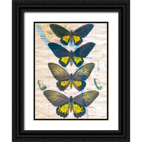 Butterfly Map II Black Ornate Wood Framed Art Print with Double Matting by Butler, John