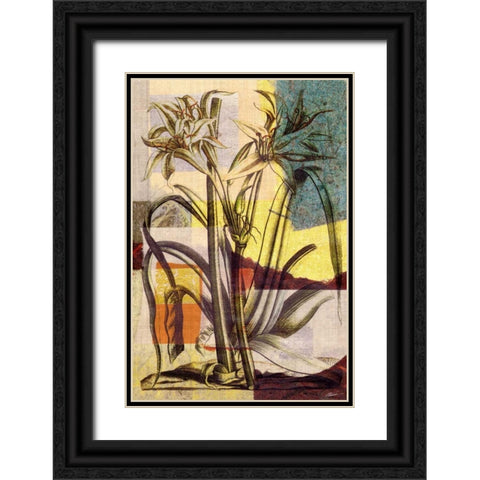 Lily Mix I Black Ornate Wood Framed Art Print with Double Matting by Butler, John