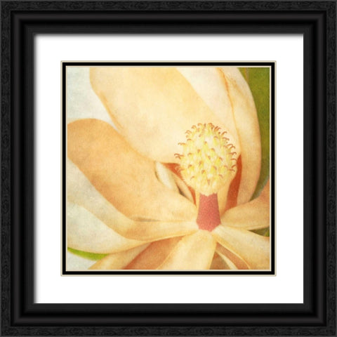 Vintage Magnolia II Black Ornate Wood Framed Art Print with Double Matting by Malek, Honey