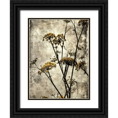 Big Sur Yarrow II Black Ornate Wood Framed Art Print with Double Matting by Malek, Honey