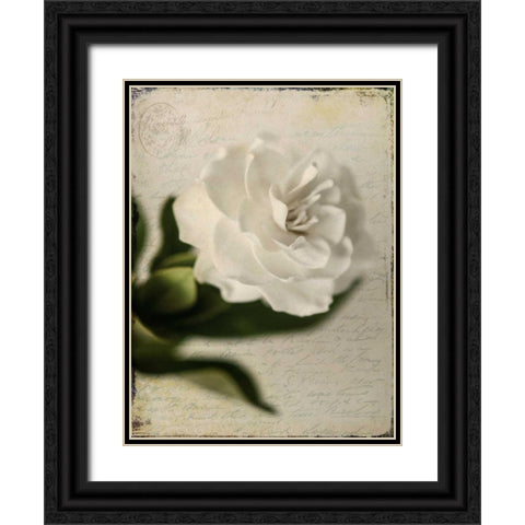 Gardenia Grunge II Black Ornate Wood Framed Art Print with Double Matting by Malek, Honey
