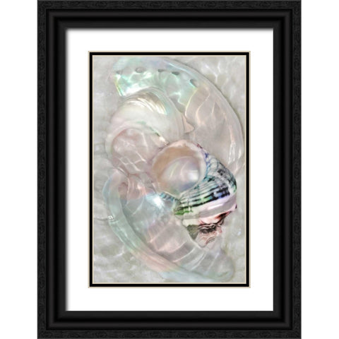 Underwater Light Waves V Black Ornate Wood Framed Art Print with Double Matting by Robertson, Leda