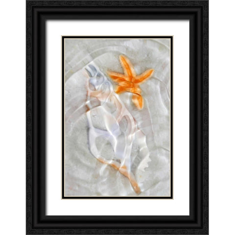 Underwater Light Waves VII Black Ornate Wood Framed Art Print with Double Matting by Robertson, Leda