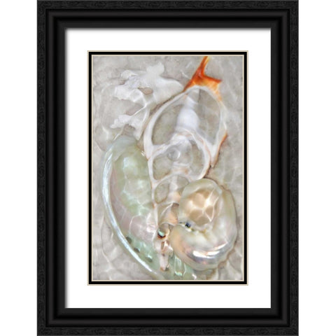 Underwater Light Waves VIII Black Ornate Wood Framed Art Print with Double Matting by Robertson, Leda