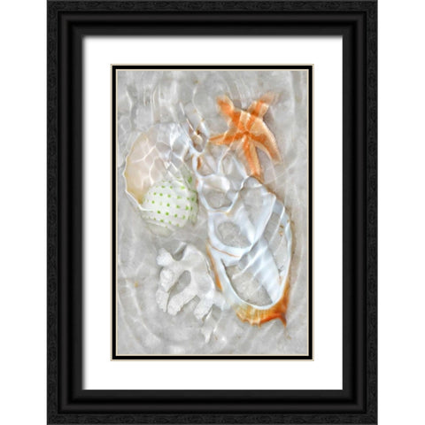 Underwater Light Waves IX Black Ornate Wood Framed Art Print with Double Matting by Robertson, Leda