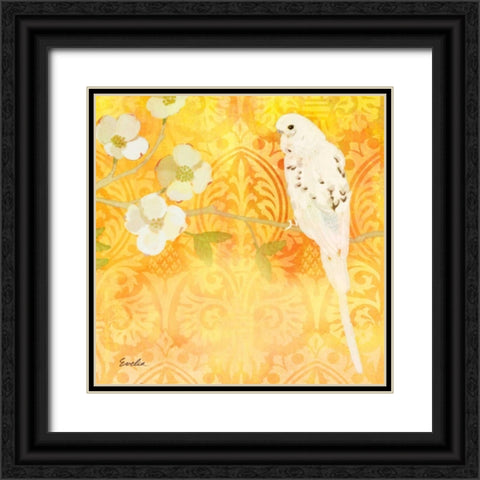 Budgie and Cartouche I Black Ornate Wood Framed Art Print with Double Matting by Evelia Designs