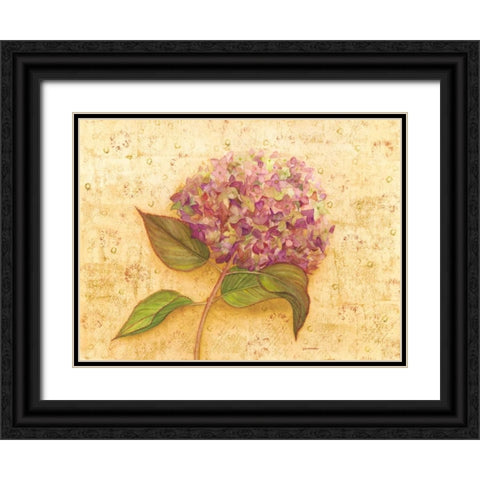 Hydrangea Love I Black Ornate Wood Framed Art Print with Double Matting by Russell, Wendy
