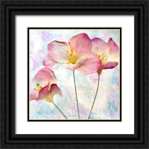 Pink Hyacinth IV Black Ornate Wood Framed Art Print with Double Matting by Malek, Honey