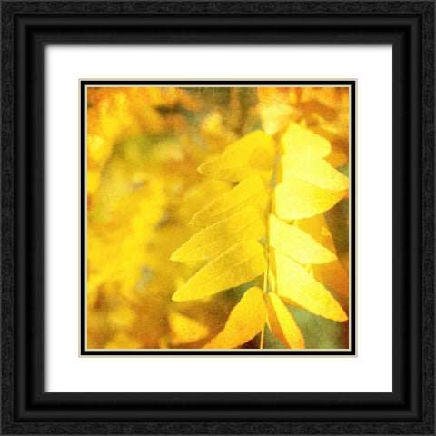 Autumn Photography III Black Ornate Wood Framed Art Print with Double Matting by Coomes, Sylvia