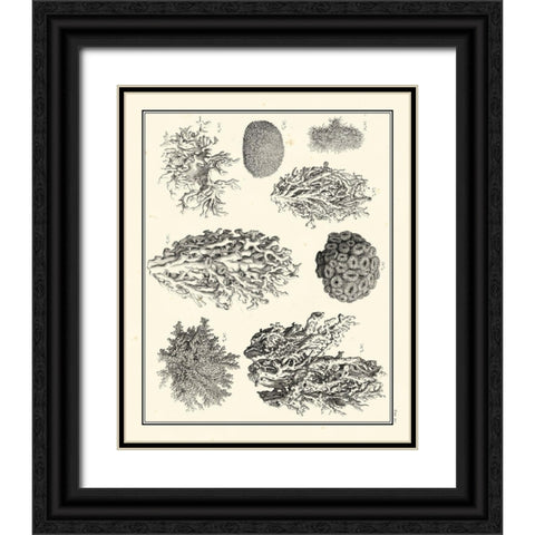 Small Aegean Collection IV Black Ornate Wood Framed Art Print with Double Matting by Vision Studio