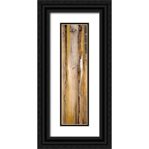 Analogous I Black Ornate Wood Framed Art Print with Double Matting by Taylor, Kari
