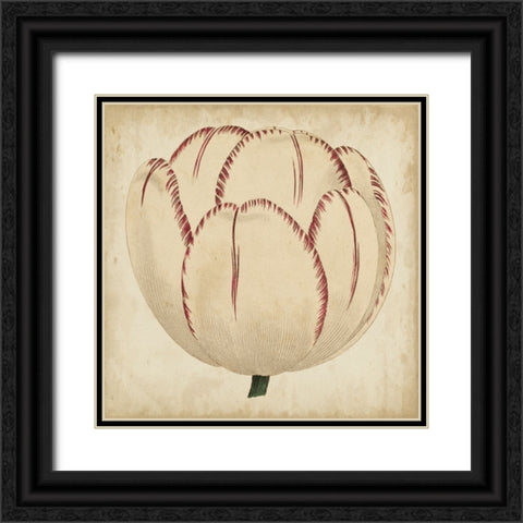 Custom Pop Floral II Black Ornate Wood Framed Art Print with Double Matting by Vision Studio