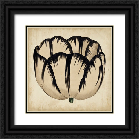 Custom Pop Floral III Black Ornate Wood Framed Art Print with Double Matting by Vision Studio