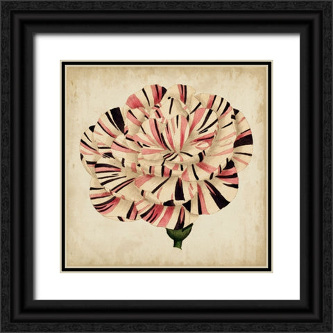 Custom Pop Floral VI Black Ornate Wood Framed Art Print with Double Matting by Vision Studio