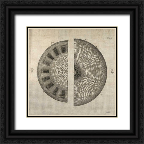 Cross Cut I Black Ornate Wood Framed Art Print with Double Matting by Butler, John